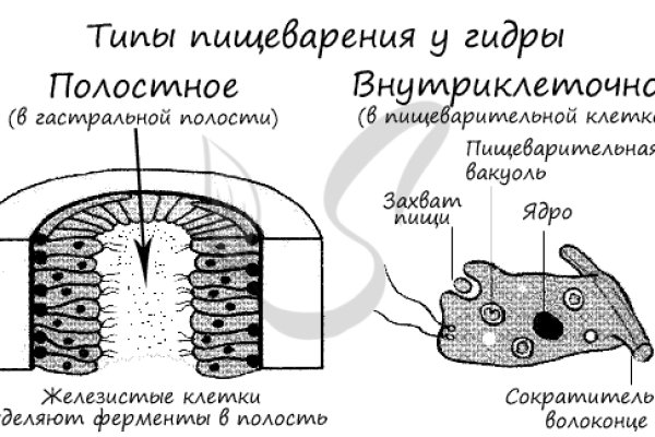 Кракен наркоз магазин